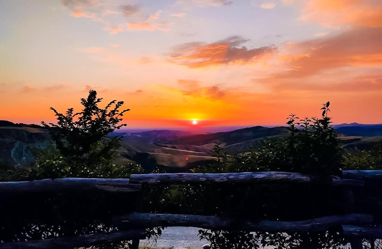 La Luna Sul Trebbio Modigliana Dış mekan fotoğraf