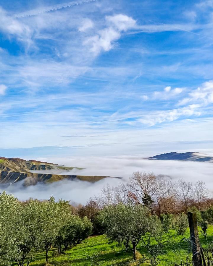 La Luna Sul Trebbio Modigliana Dış mekan fotoğraf